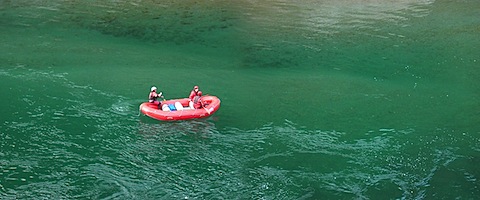 PB043768.JPG