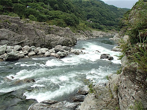 P5318876.JPG