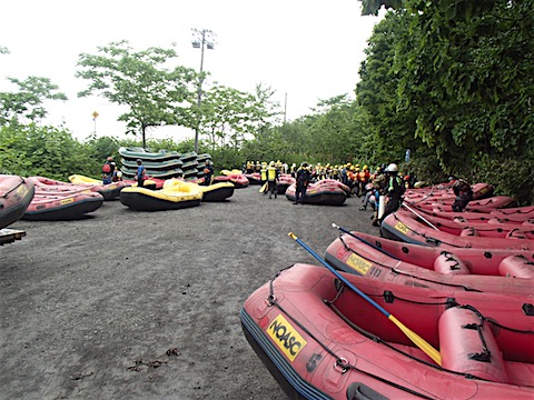 P6137992.JPG