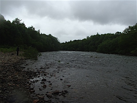 P6139350.JPG