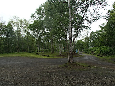 P6149354.JPG