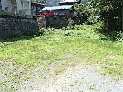 P6259603.JPG