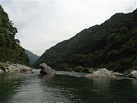 P6288617.JPG