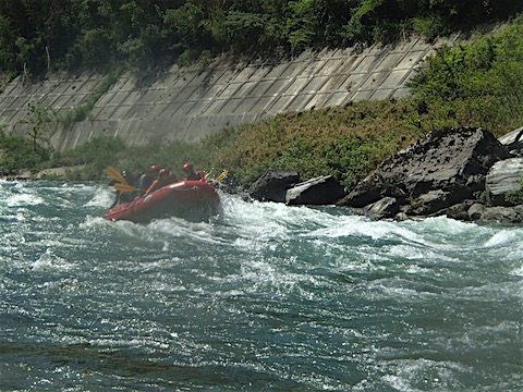 P8040164.JPG