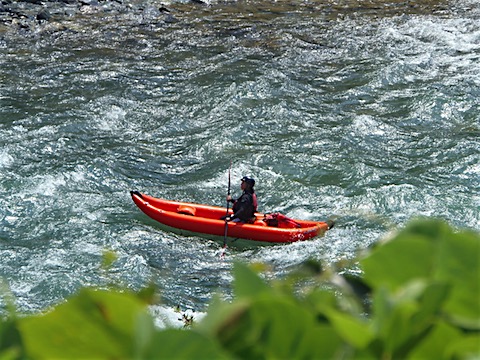 P8048921.JPG