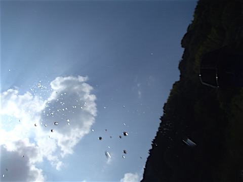 P8050051.JPG