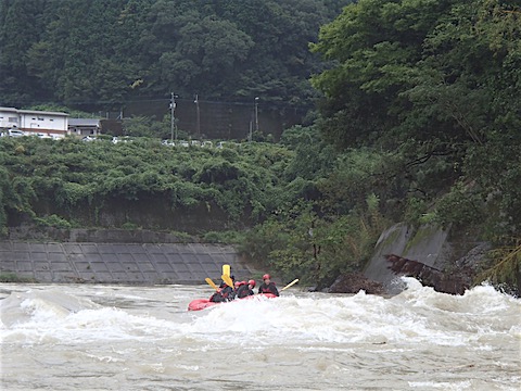 P9080153.JPG