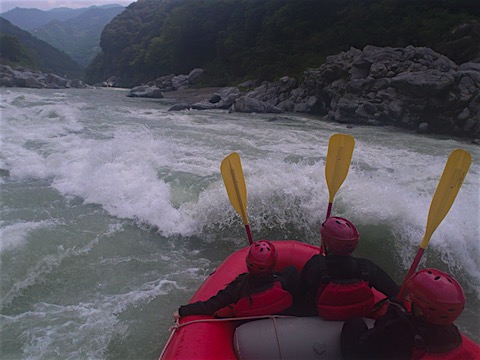 20190629_104545_039.JPG
