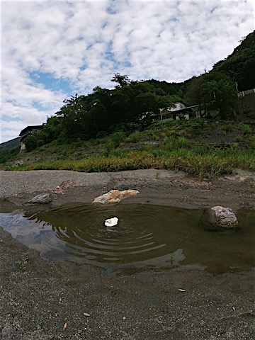 G0070143.jpg