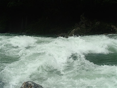 P7204138
