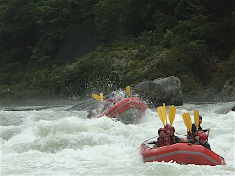 P8302641