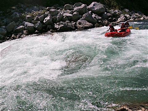 G0031993