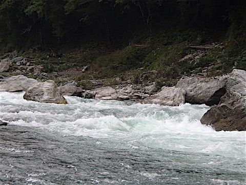 P1010413