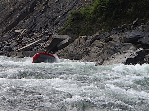 P9099426.JPG