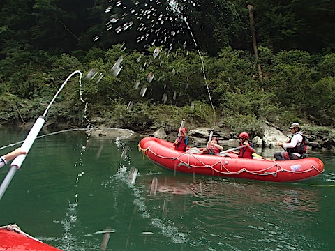 P7232499