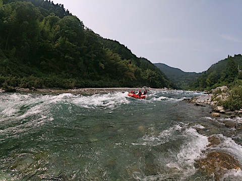 G0083118