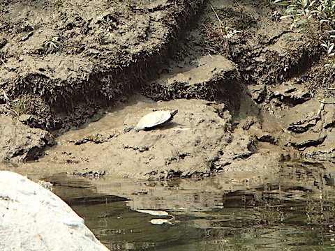 P8070910