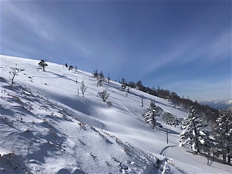 146177848_722805035083665_4291812496187458670_n.jpg