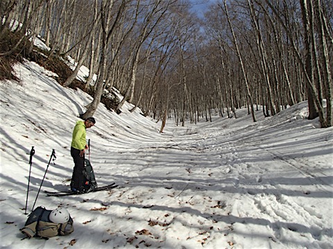 P3110011.JPG