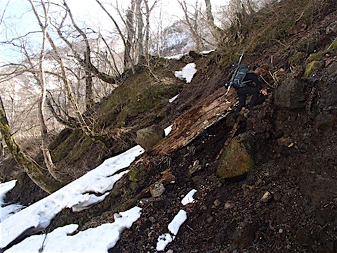 P3110057.JPG