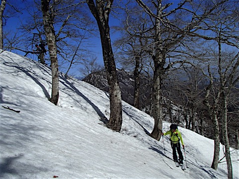 P3180007.JPG