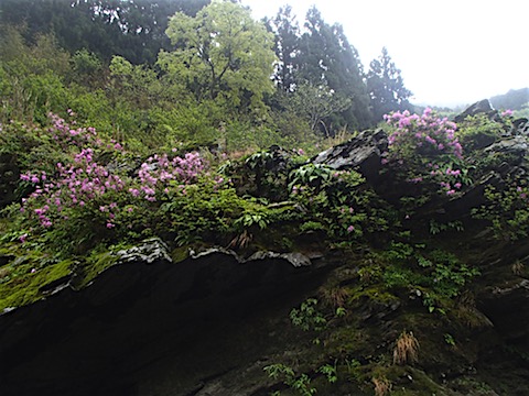 P4170001.JPG