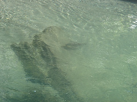 P5030036