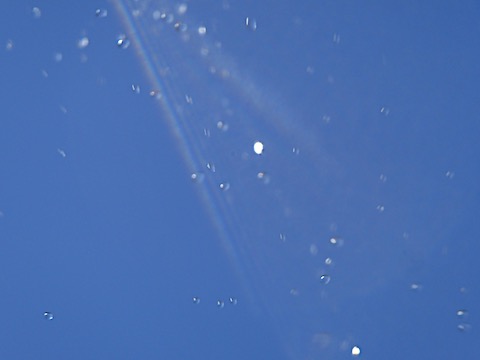 P5030037