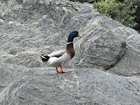 P5044838