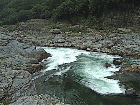 P6120003.jpg