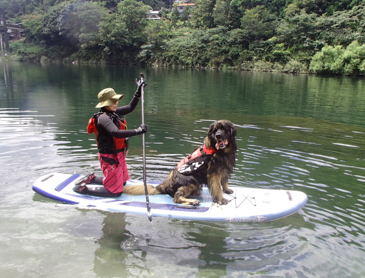 高知 吉野川 アクティビティ SUP パックラフト ミニツーリング　ペットフレンドリー