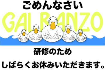 高知ラフティング|リバーサップ｜シャワークライミング　ガルバンゾ