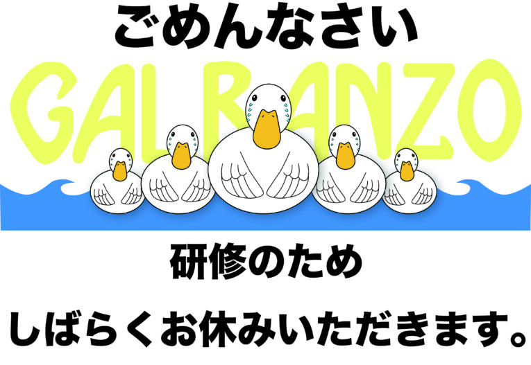 高知ラフティング|リバーサップ｜シャワークライミング　ガルバンゾ