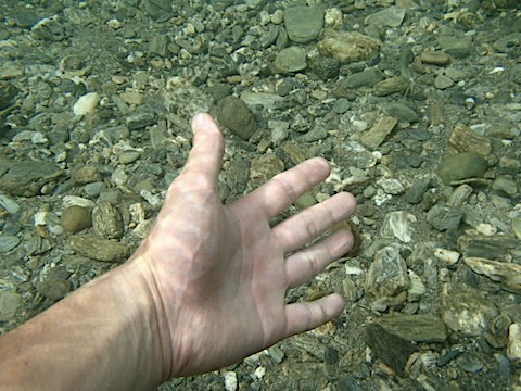 P7193102