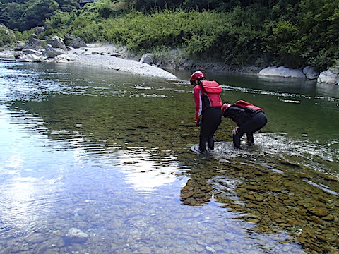 P7303228