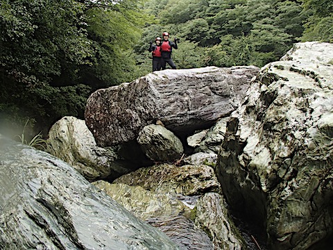 P8196015