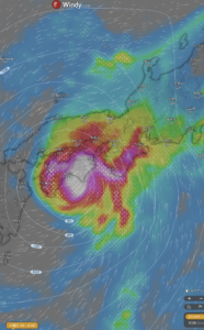 台風さんさん