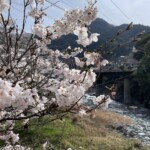 高知ラフティング|リバーサップ｜シャワークライミング　ガルバンゾ