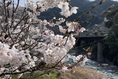 高知ラフティング|リバーサップ｜シャワークライミング　ガルバンゾ