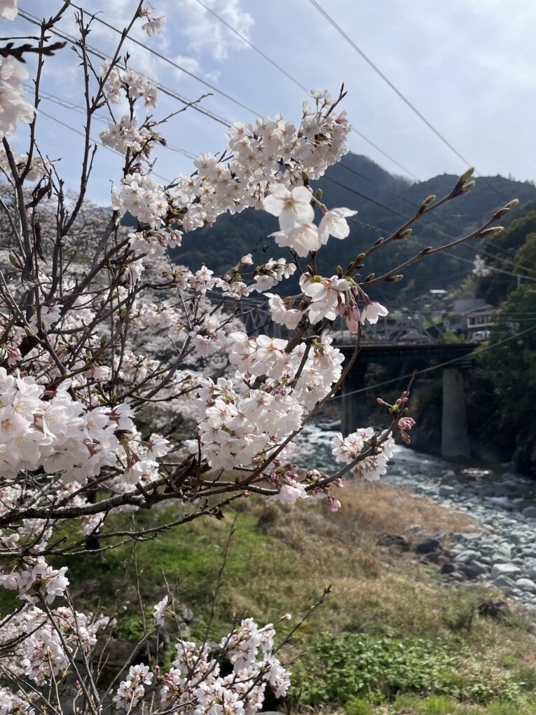 高知ラフティング|リバーサップ｜シャワークライミング　ガルバンゾ