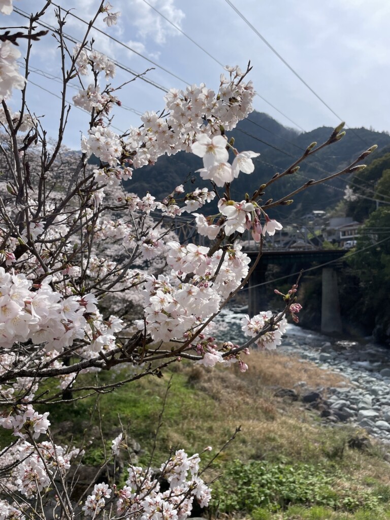 高知ラフティング|リバーサップ｜シャワークライミング　ガルバンゾ